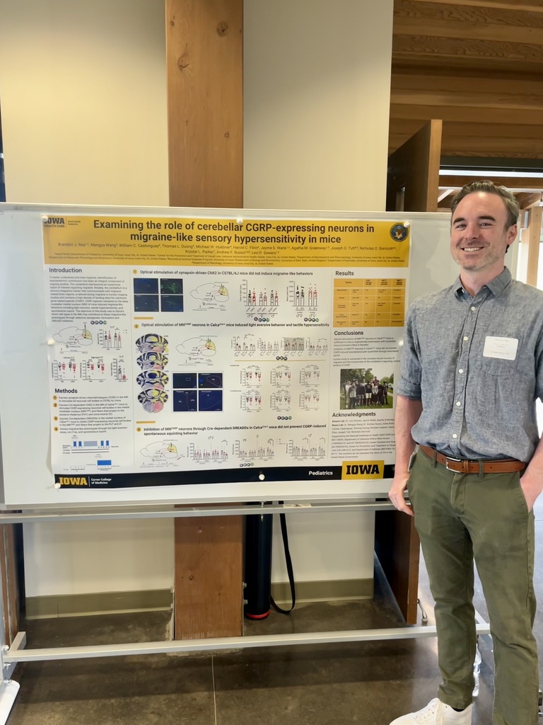 Brandon's poster at PAIN Retreat 2024